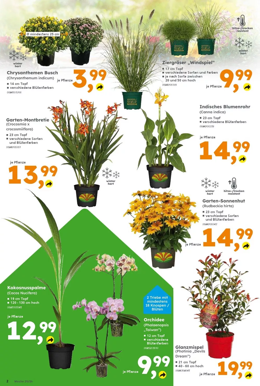 Globus Baumarkt Prospekt Aktuell ab 27.07.2026 | Nächste Woche Online Blättern 2 globus baumarkt prospekt juli 13 18 2