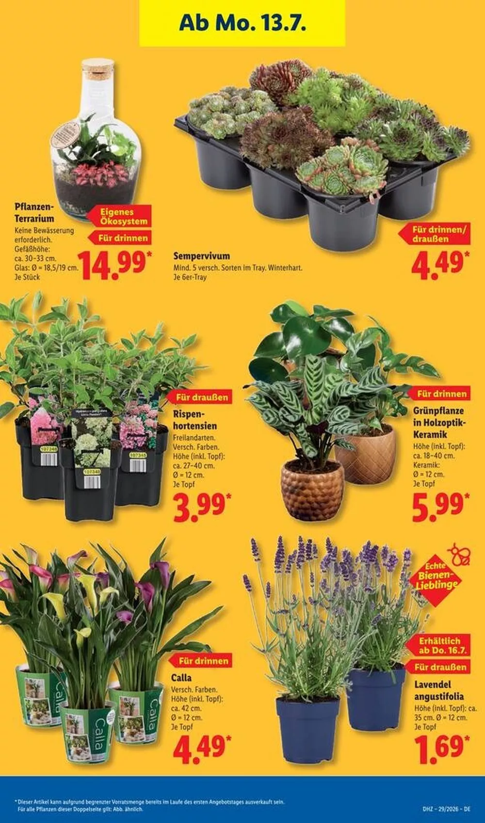 lidl prospekt juli 13 18 27 33963387