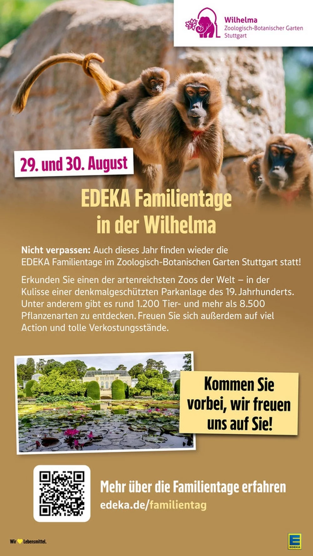 edeka sudwest prospekt juli 20 25 47