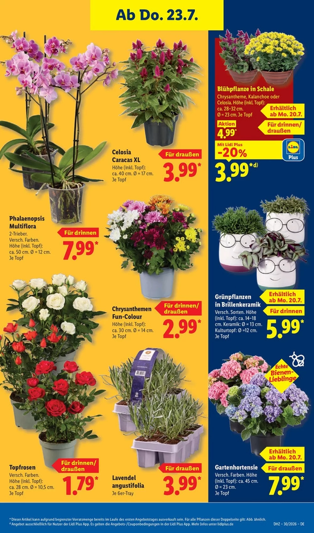 lidl prospekt juli 20 26 29