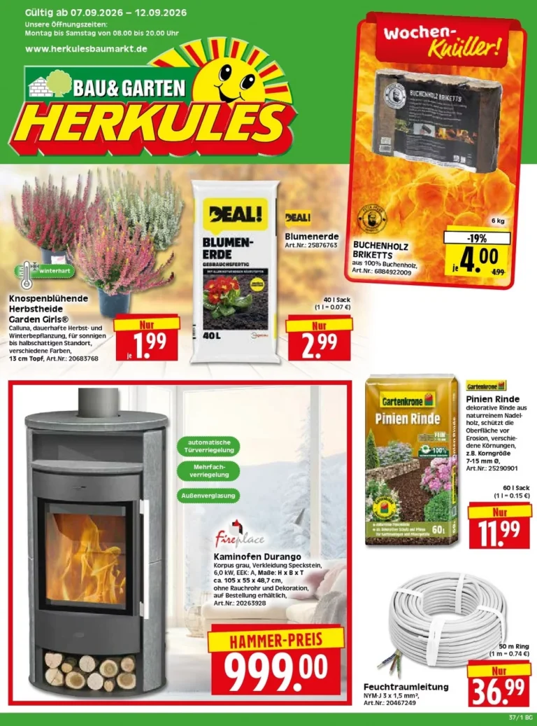 herkules baumarkt prospekt kw-37