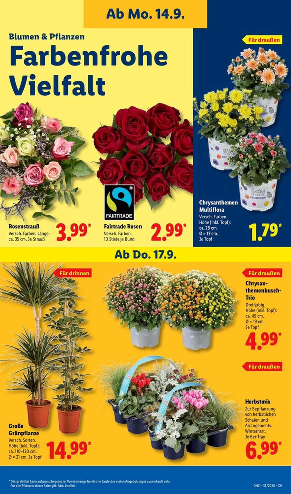 lidl prospekt september 14 19 23 1