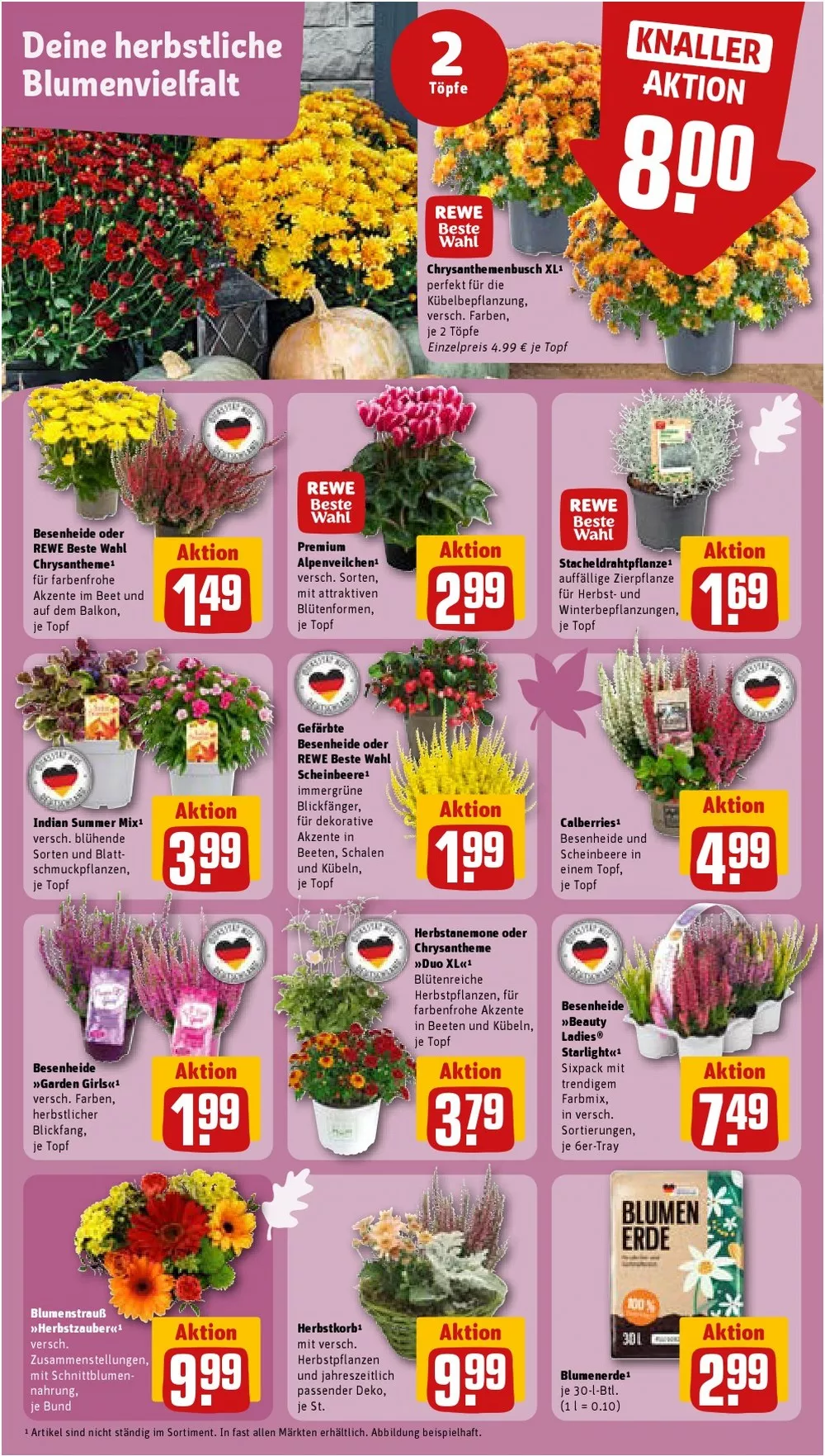 rewe prospekt september 14 19 5