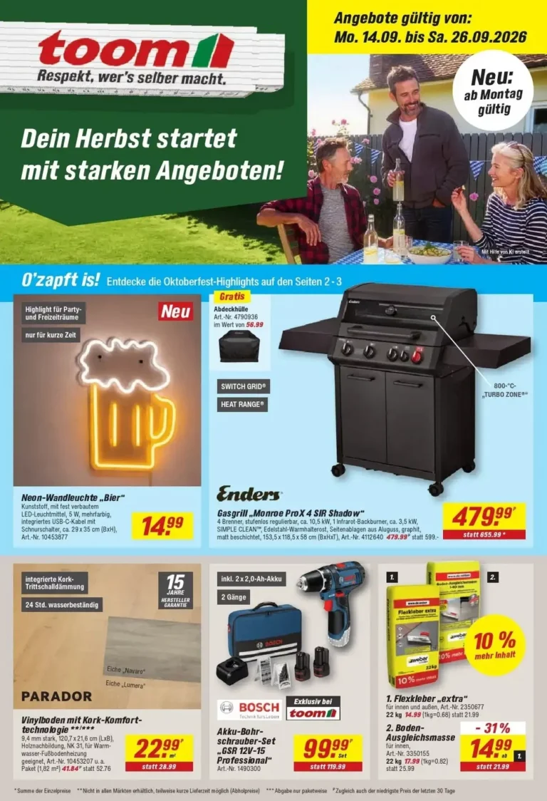 toom baumarkt prospekt kw-38