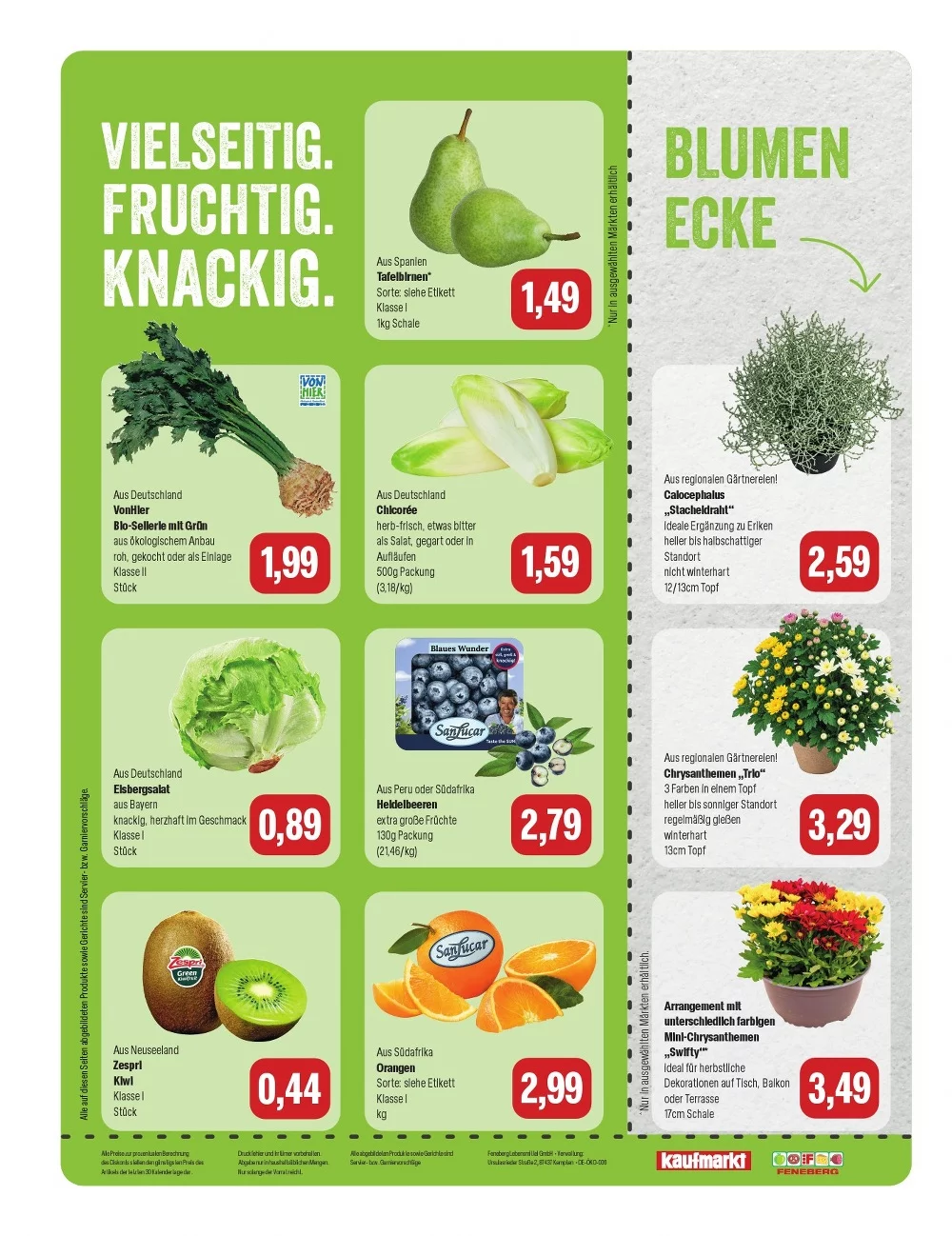 feneberg prospekt september 24 26 8